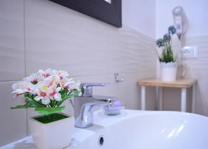 House Appartement Bologne